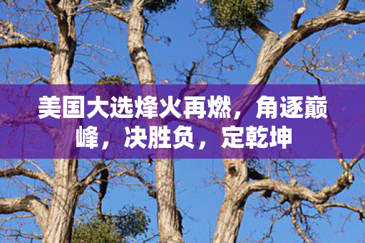 美国大选烽火再燃，角逐巅峰，决胜负，定乾坤