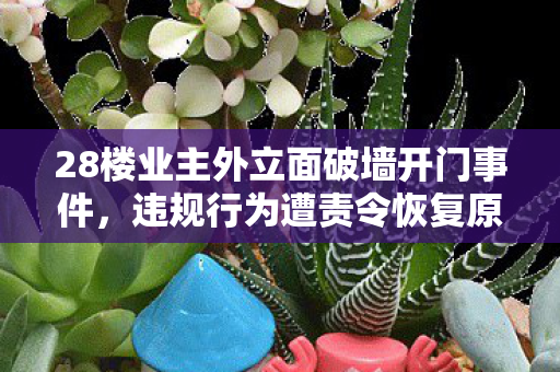 28楼业主外立面破墙开门事件，违规行为遭责令恢复原状
