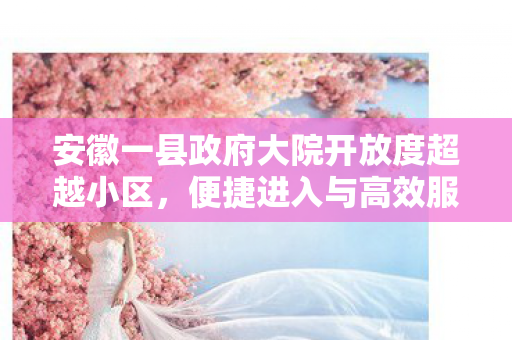 安徽一县政府大院开放度超越小区，便捷进入与高效服务并存