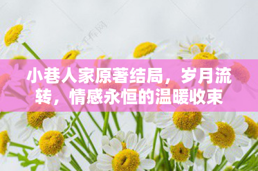 小巷人家原著结局，岁月流转，情感永恒的温暖收束