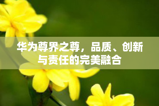 华为尊界之尊，品质、创新与责任的完美融合