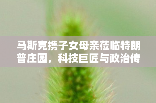 马斯克携子女母亲莅临特朗普庄园，科技巨匠与政治传奇的跨界交流