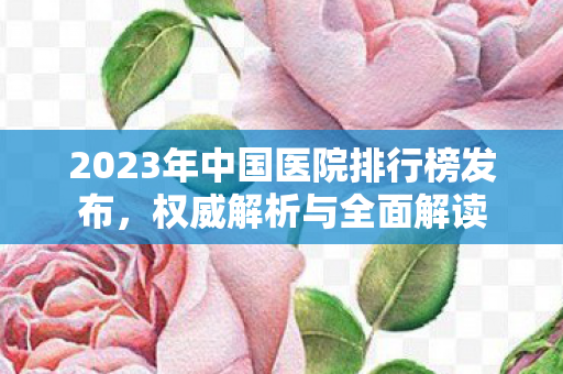 2023年中国医院排行榜发布，权威解析与全面解读