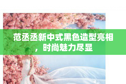 范丞丞新中式黑色造型亮相，时尚魅力尽显