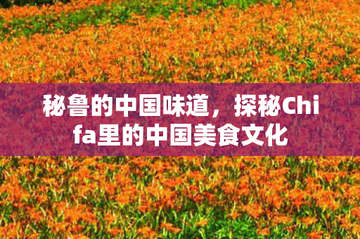 秘鲁的中国味道，探秘Chifa里的中国美食文化