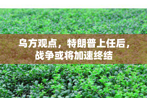 乌方观点，特朗普上任后，战争或将加速终结