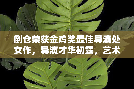 倒仓荣获金鸡奖最佳导演处女作，导演才华初露，艺术魅力无限