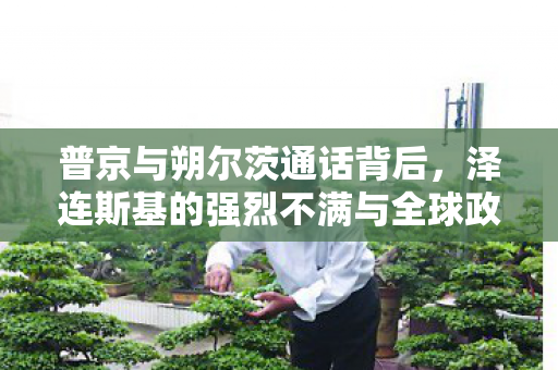 普京与朔尔茨通话背后，泽连斯基的强烈不满与全球政治的微妙平衡