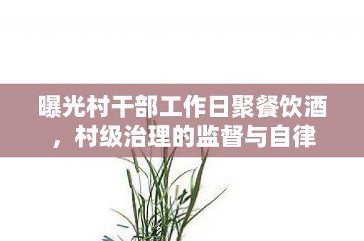 曝光村干部工作日聚餐饮酒，村级治理的监督与自律
