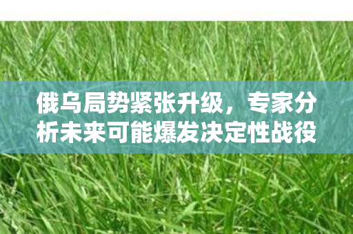 俄乌局势紧张升级，专家分析未来可能爆发决定性战役