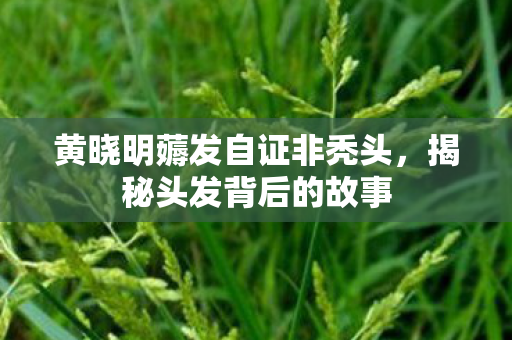 黄晓明薅发自证非秃头，揭秘头发背后的故事
