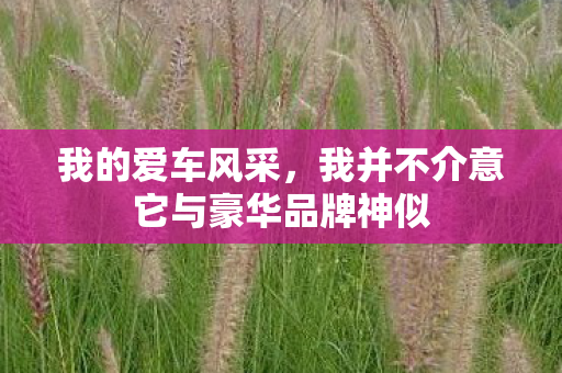 我的爱车风采，我并不介意它与豪华品牌神似