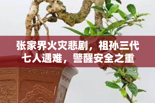 张家界火灾悲剧，祖孙三代七人遇难，警醒安全之重