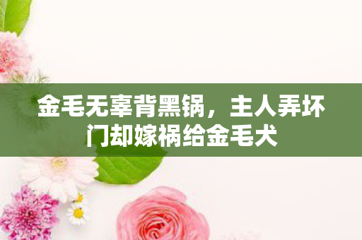 金毛无辜背黑锅，主人弄坏门却嫁祸给金毛犬