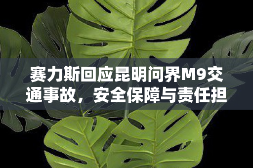 赛力斯回应昆明问界M9交通事故，安全保障与责任担当共筑消费者信心