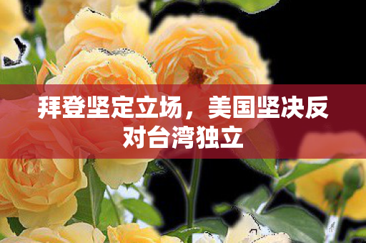 拜登坚定立场，美国坚决反对台湾独立