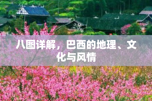 八图详解，巴西的地理、文化与风情