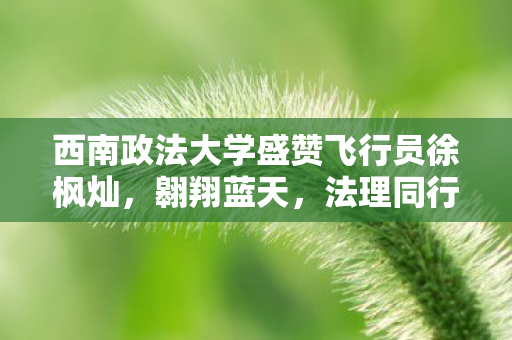 西南政法大学盛赞飞行员徐枫灿，翱翔蓝天，法理同行