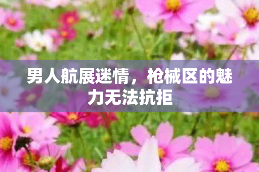 男人航展迷情，枪械区的魅力无法抗拒