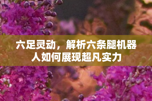 六足灵动，解析六条腿机器人如何展现超凡实力