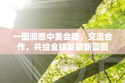 一图洞悉中美会晤，交流合作，共绘全球发展新蓝图