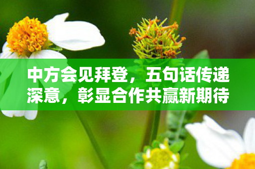 中方会见拜登，五句话传递深意，彰显合作共赢新期待