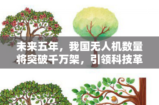 未来五年，我国无人机数量将突破千万架，引领科技革新与行业变革的空中力量
