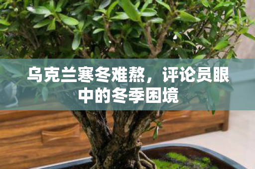 乌克兰寒冬难熬，评论员眼中的冬季困境