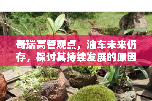 奇瑞高管观点，油车未来仍存，探讨其持续发展的原因与前景