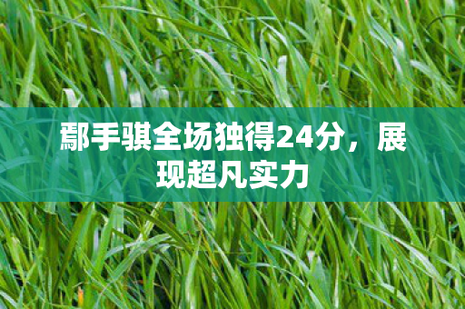 鄢手骐全场独得24分，展现超凡实力