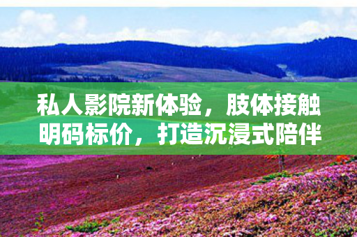 私人影院新体验，肢体接触明码标价，打造沉浸式陪伴之旅
