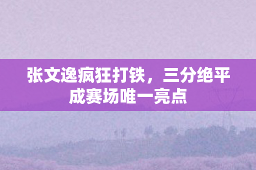 张文逸疯狂打铁，三分绝平成赛场唯一亮点