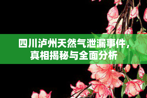 四川泸州天然气泄漏事件，真相揭秘与全面分析