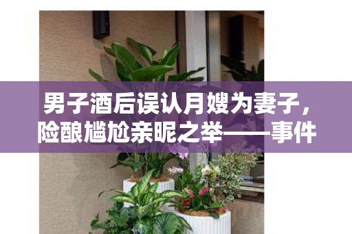 男子酒后误认月嫂为妻子，险酿尴尬亲昵之举——事件分析与反思