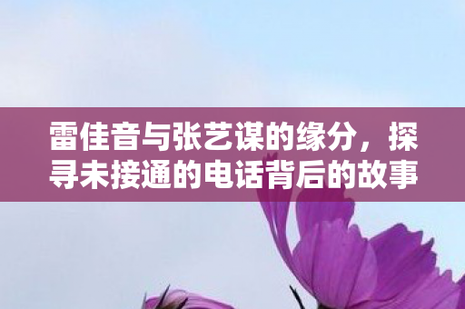 雷佳音与张艺谋的缘分，探寻未接通的电话背后的故事