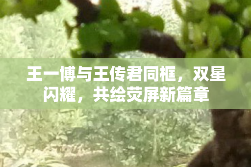 王一博与王传君同框，双星闪耀，共绘荧屏新篇章