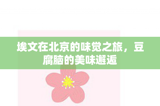 埃文在北京的味觉之旅，豆腐脑的美味邂逅