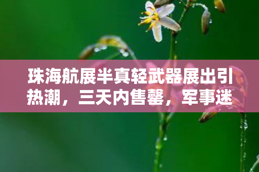 珠海航展半真轻武器展出引热潮，三天内售罄，军事迷狂欢背后的市场洞察