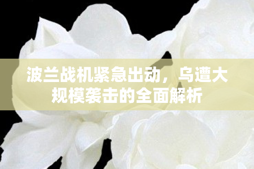 波兰战机紧急出动，乌遭大规模袭击的全面解析