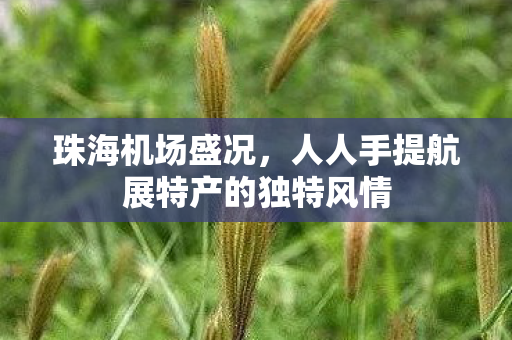 珠海机场盛况，人人手提航展特产的独特风情