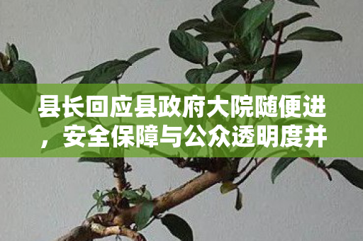 县长回应县政府大院随便进，安全保障与公众透明度并重
