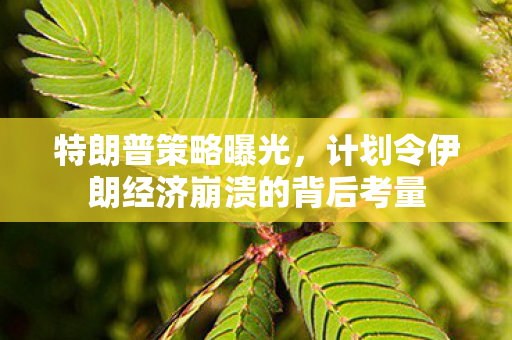 特朗普策略曝光，计划令伊朗经济崩溃的背后考量