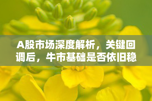 A股市场深度解析，关键回调后，牛市基础是否依旧稳固？