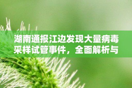 湖南通报江边发现大量病毒采样试管事件，全面解析与深入调查