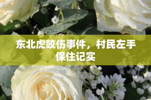 东北虎咬伤事件，村民左手保住记实