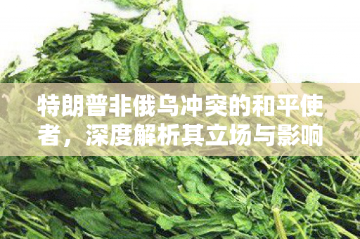 特朗普非俄乌冲突的和平使者，深度解析其立场与影响