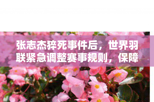 张志杰猝死事件后，世界羽联紧急调整赛事规则，保障运动员健康与安全