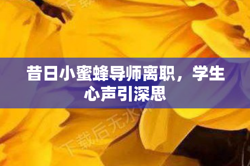 昔日小蜜蜂导师离职，学生心声引深思