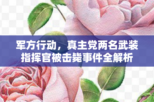 军方行动，真主党两名武装指挥官被击毙事件全解析