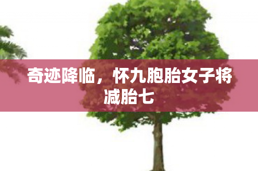 奇迹降临，怀九胞胎女子将减胎七